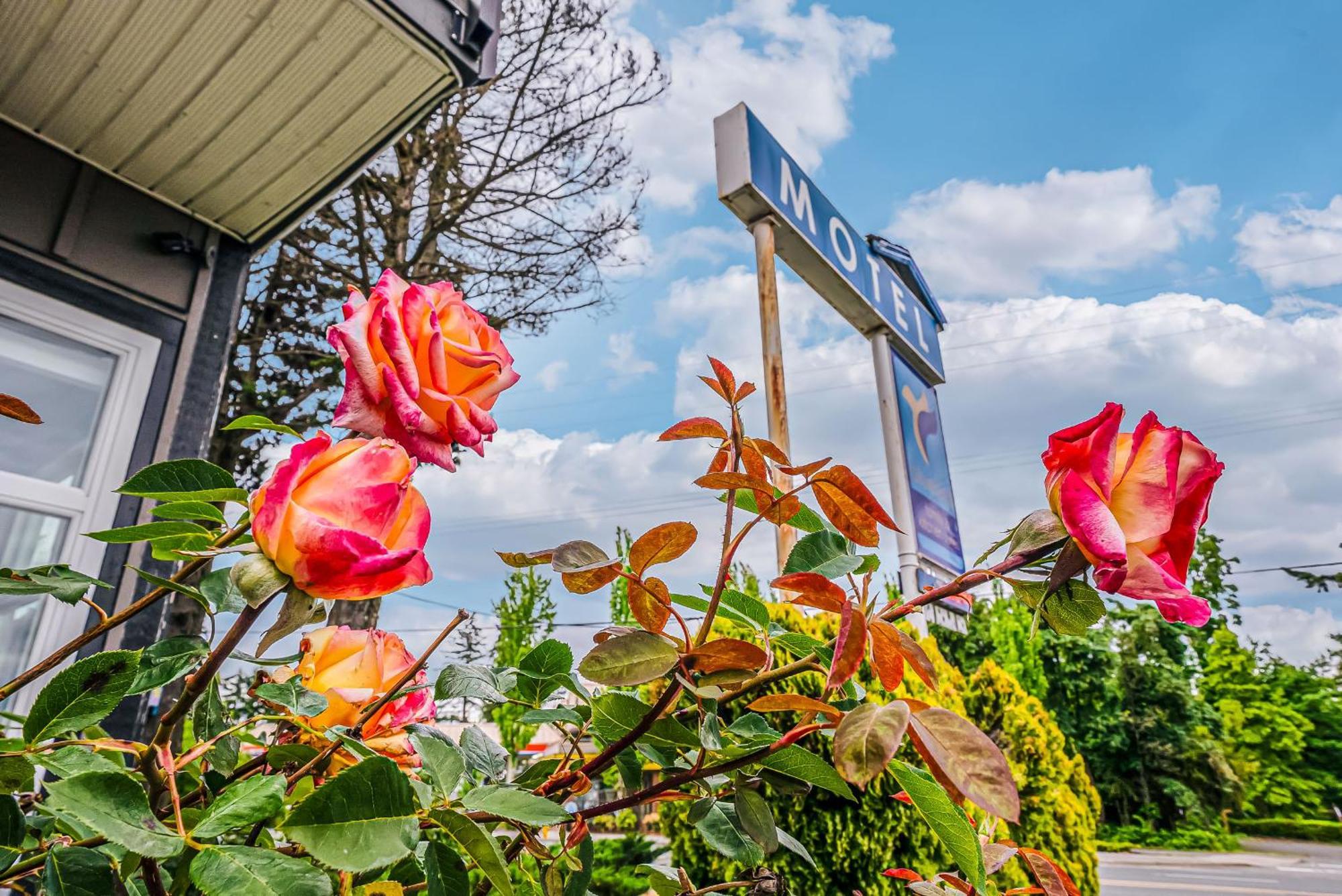 Bluebird Motel Nanaimo Exterior photo